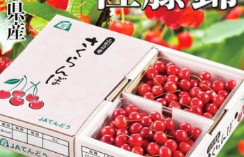 Yaponiyada hərracda yarım kiloqram gilas 10 min dollara satılıb