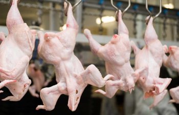 Azərbaycana bu ölkələrdən ət məhsullarının gətirilməsi dayandırıldı