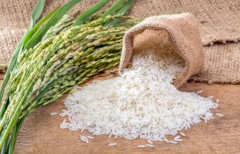 Azərbaycan düyü idxalını 17 % artırıb