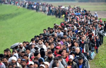 Ən çox miqrant qəbul edən ölkə