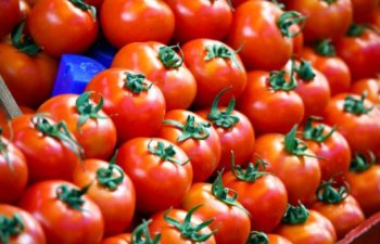 Rusiya Türkiyədən pomidor idxalı kvotasını qaldırıb