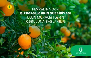 Fevralın 1-dən birdəfəlik əkin subsidiyası üçün müraciətlərin qəbuluna başlanılır