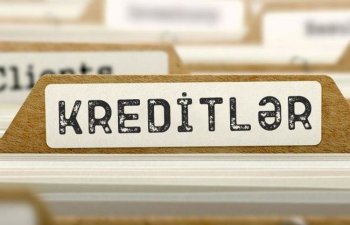 Naxçıvan sahibkarlarına ötən il 38 mln. manata yaxın kredit verilib