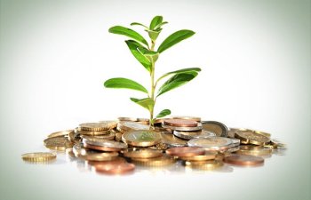 Sizə investisiya lazımdır? - BİZƏ MÜRACİƏT EDİN