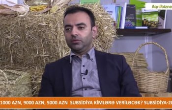 11 min manat subsidiya kim alacaq? - VİDEO