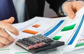 Fond rəhbəri: Bu riskini biz 4%-lə ödəyirik, bizə qalan 1%-dir