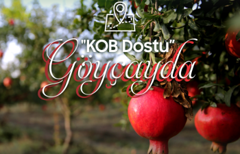 Göyçayda KOB Dostu fəaliyyətə başlayıb