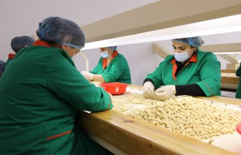 “Azhazelnut” fındıq emalı zavodunun məhsul ixracına dəstək göstərilməsi ilə bağlı müzakirələr