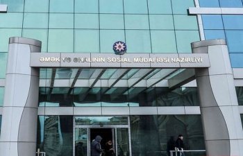 Neçə şəhid ailəsi üzvü vəsiqə ilə təmin olunub? - RƏSMİ