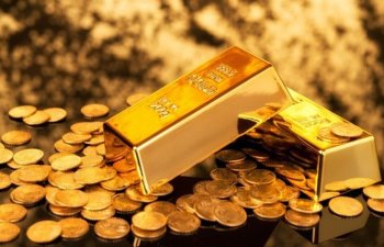 Azergold tender elan edir