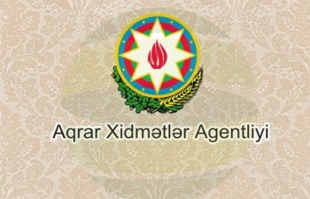Aqrar Xidmətlər Agentliyi tender elan edir