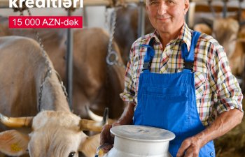 193 fermer AKİA dəstəyi ilə “AccessBank”dan kredit alıb 