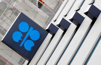 OPEC ölkələri mayda \