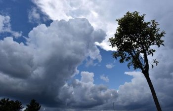ETSN: Yaxın 3 gün ərzində Bakıda mülayim şimal küləyi əsəcək