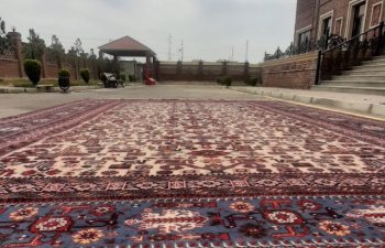 Son bir ilin ən böyük xalçası kəsildi