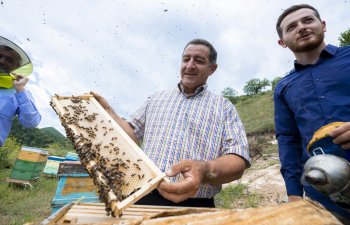 Kəlbəcər yaylaqlarına daha 2500 arı ailəsinin köçürülməsinə başlanılıb