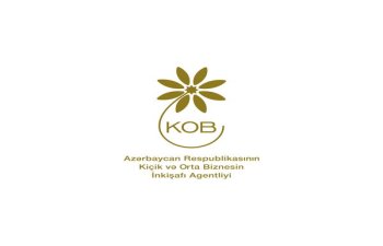 BMT-nin Sənaye İnkişafı Təşkilatıdan Azərbaycanda innovativ həllərə dair müsabiqə 