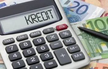 Naxçıvanda sahibkarlara verilən kreditin məbləği AÇIQLANIB 