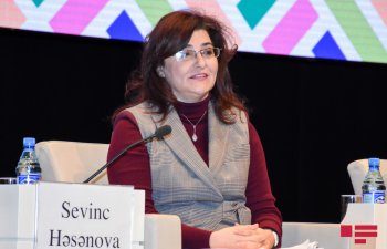 Nazir müavini Azərbaycandakı İraq kapitallı şirkətlərin sayını AÇIQLAYIB