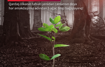 Kapital Bank meşələrin bərpası üçün Türkiyəyə dəstək göstərdi
