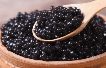 Bakıda qara kürünün qiyməti açıqlandı