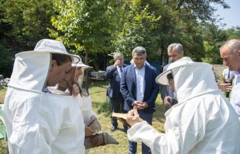 İnam Kərimov Zaqatala və Balakəndə fermerlərlə görüşüb - FOTO