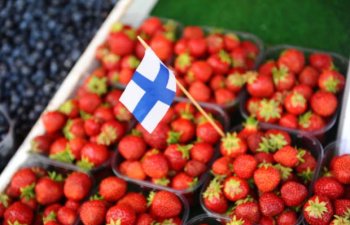Finlandiyada Rusiya məhsulları piştaxtalardan yığışdırılır