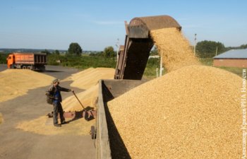 Bu il Rusiyada təxminən 120 milyon ton taxıl yığılacaq