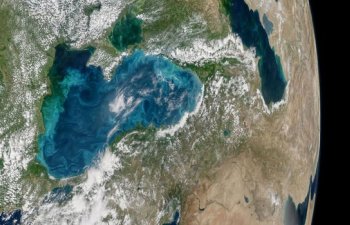 ABŞ Rusiyanı ərzaq ticarətinin qarşısını almaqda ittiham edir