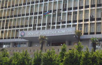 Dövlət Statistika Komitəsi tender elan edir