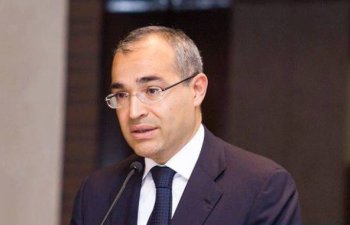 Nazir: ÜDM 6,8% artaraq 30 mlrd. 37 mln. manat olub