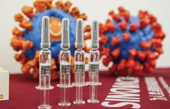 Sinovacın gəliri 78 dəfə artıb