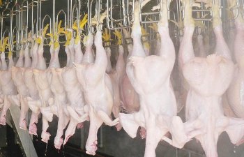 Daha üç ölkədən quşçuluq məhsullarının idxalı məhdudlaşdırılıb
