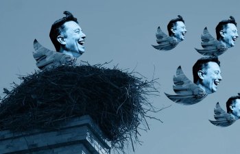 Elon Musk Twitter-in satın alınma prosesini dayandırıb: Səbəb nədir?