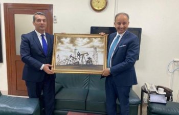 SOCAR Pakistanın LNG sektoruna 100 milyon dollar sərmayə yatırmağa hazırdır
