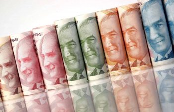 Dollar lirə qarşısında bahalaşdı