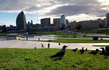 Sabah 36 dərəcəyədək isti olacaq – HAVA PROQNOZU
