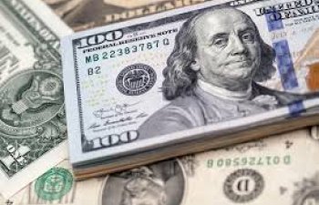 Azərbaycan bankları nə qədər dollar alıb?