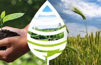 Aqrar Sığorta Fondu tender elan edir