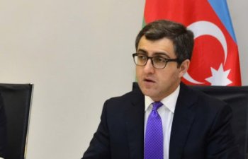 Qeyri-neft sektoruna birbaşa xarici investisiyalar 2022-ci il və növbəti illərdə artacaq