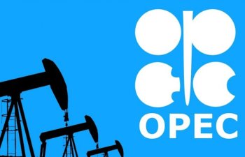 OPEC: Təşkilat qaz və neftin qiymətlərinin bahalşamasında iştirak etmir