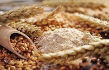 Rusiyadan buğda ixracı 27% azalıb