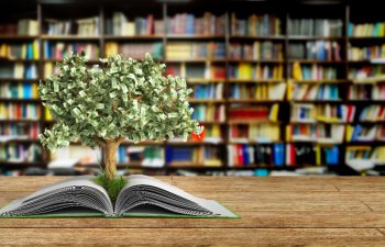 Oxucu büdcəsinə uyğun olmayan kitab