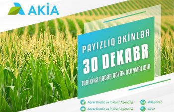 Payızlıq əkin bəyanlarının qəbuluna başlanılıb