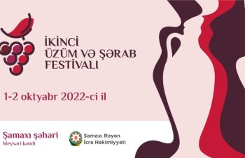 İkinci Üzüm və Şərab Festivalı keçiriləcək - Video