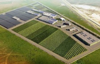 Aqroparklara 1,4 milyard manat özəl investisiya qoyulub