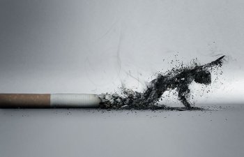 Azərbaycanda tütün məmulatları məcburi nişanlamaya görə dövlət rüsumundan azad edilir