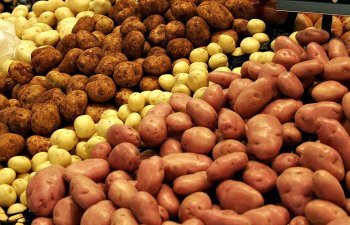 Novosibirskdən Azərbaycana ixrac edilən 203 ton kartof geri qaytarılıb 