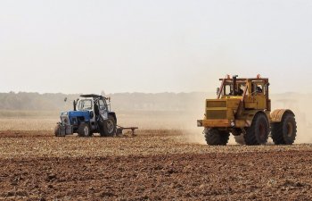 Kənd təsərrüfatı subsidiyaları 1 il müddətinə mənfəət vergisindən azad edilir