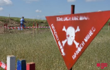 ANAMA: Son həftədə 271 ha ərazi minalardan təmizlənib